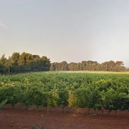 Appartamento 4 Pers Au Lavandou Avec Terrasse Et Climatisation - Fr-1-251-223